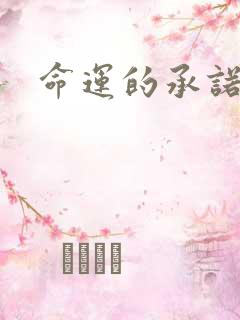 命运的承诺