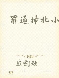 罗通扫北小说