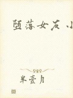 堕落女友 小说