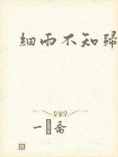 细雨不知归