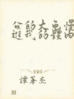 公的大龟慢慢挺进我的体内