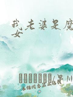 我老婆是魔法少女