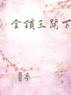 金锁玉关下载