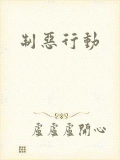 制恶行动