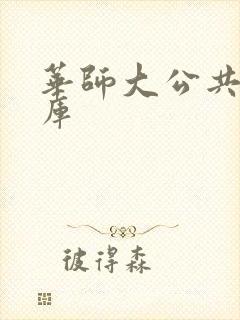 华师大公共数据库