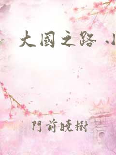大国之路 小说