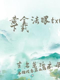 黄金法眼txt下载