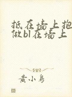 抵在墙上抱起来做bl在墙上