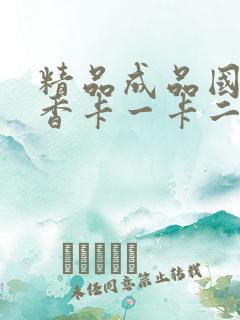 精品成品国色天香卡一卡二摄像头