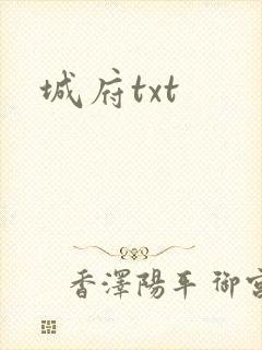城府txt
