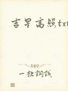 吉星高照txt