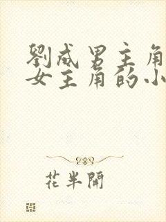 刘成男主角刘雪女主角的小说