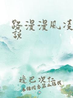 路漫漫风凌轩小说