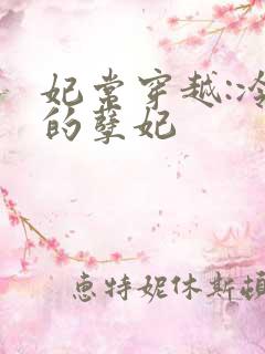 妃常穿越:冷王的孽妃