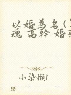 以婚为名 (军魂 高干 婚恋)