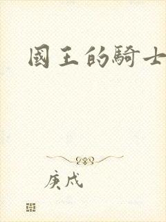 国王的骑士