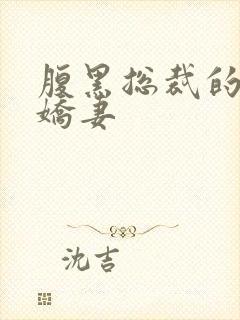 腹黑总裁的双面娇妻