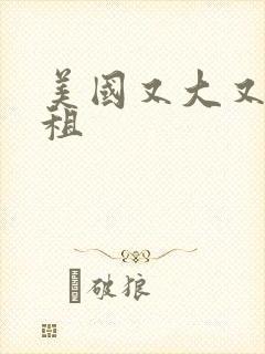 美国又大又长又租