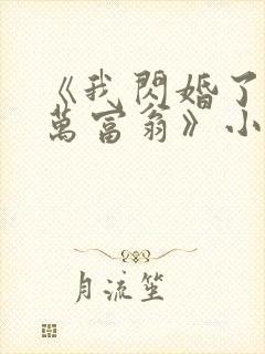 《我闪婚了个亿万富翁》小说