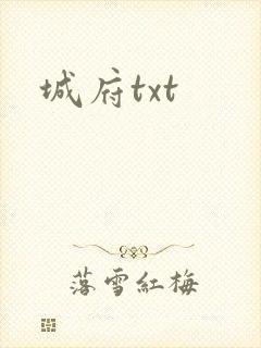 城府txt