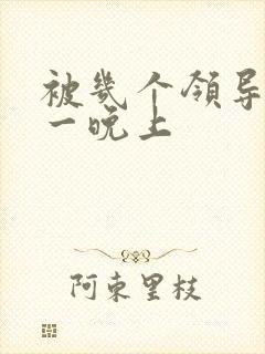 被几个领导玩弄一晚上