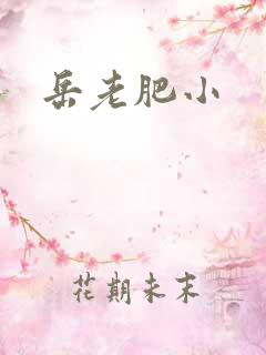 岳老肥小