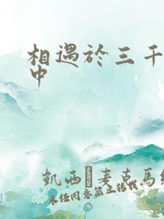 相遇于三千肉文中