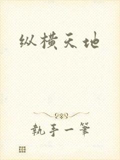 纵横天地