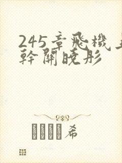 245章飞机上干关晓彤