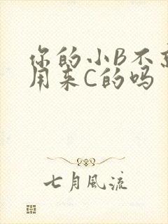 你的小B不就是用来C的吗