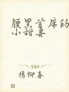 腹黑首席的替身小甜妻