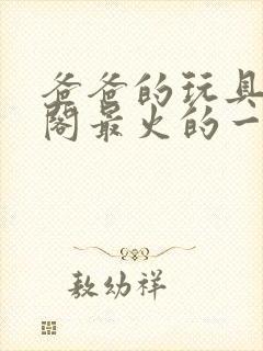 爸爸的玩具笔趣阁最火的一句