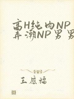 高H纯肉NP 弄潮NP男男