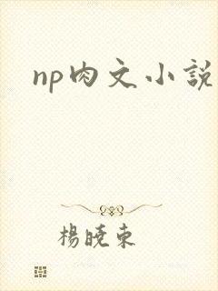 np肉文小说