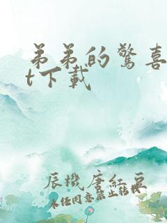 弟弟的惊喜txt下载