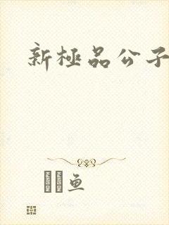 新极品公子