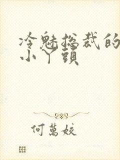 冷魅总裁的纯纯小丫头