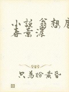 小说 翁想房中春意浓