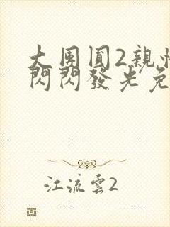 大团圆2亲情会闪闪发光免费