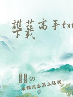 护花高手txt下载