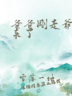 爸爸刚走爷爷就来了