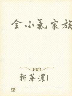 金小气家族小说