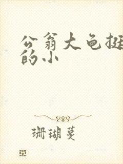 公翁大龟挺进我的小