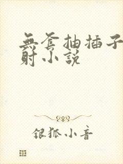 无套抽插子宫内射小说