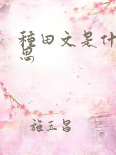 种田文是什么意思