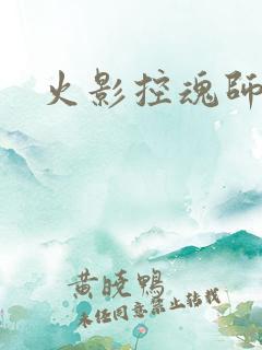 火影控魂师