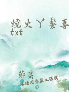 烧火丫鬟喜洋洋txt