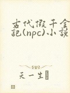 古代假千金挨日记(npc)小说