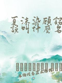 夏沫染顾铭修小说叫什么名字