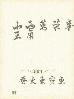 山西万荣事件女主角